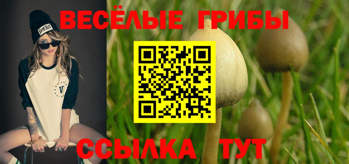 Псилоцибиновые грибы мицелий  Вход с VPN  Можга 
